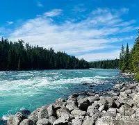 BRO翻盘MAD，Bwipo绝境逆转